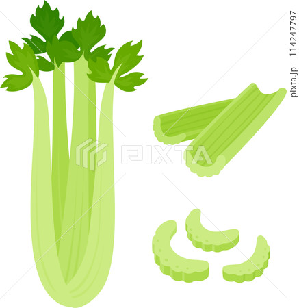 Celery cartoon drawing set Celery cartoon drawing set 114247797