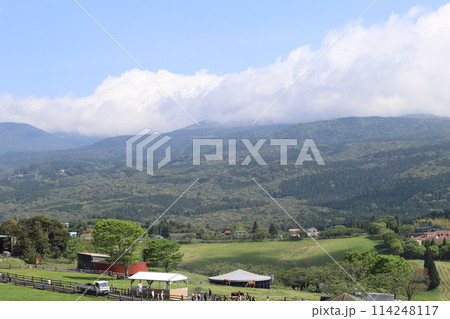 ゴールデンウィーク/高千穂牧場/宮崎 114248117