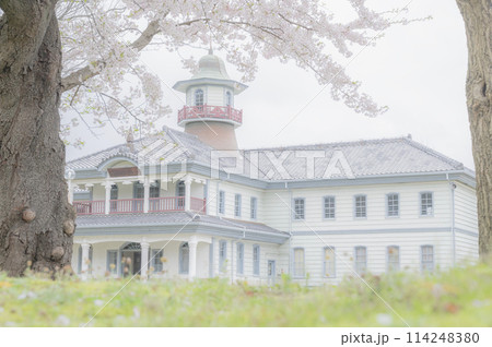 茨城 春の旧水海道小学校 茨城 春の旧水海道小学校 114248380
