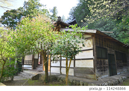 全洞院　本堂　越辺川沿い　新緑の季節　　　　 114248866