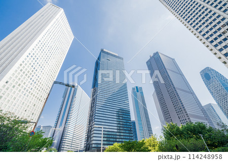「東京都」新宿新都心のビル群を見上げる 114248958