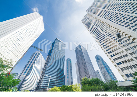 「東京都」新宿新都心のビル群を見上げる 114248960