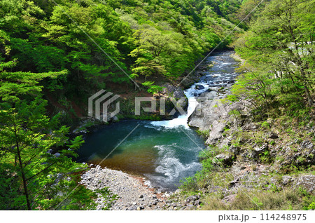 栃木県那須塩原市　塩原温泉を流れる箒川と布滝 114248975