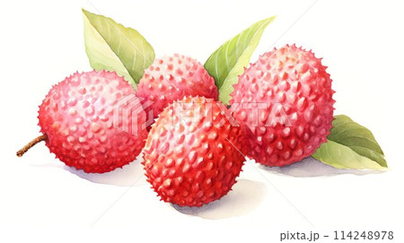 ライチの水彩イラスト 114248978