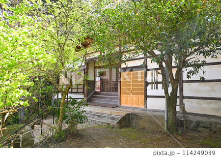 全洞院　本堂　越辺川沿い　新緑の季節　　　　 114249039