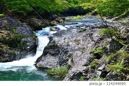 栃木県那須塩原市　塩原温泉を流れる箒川と布滝 114249095
