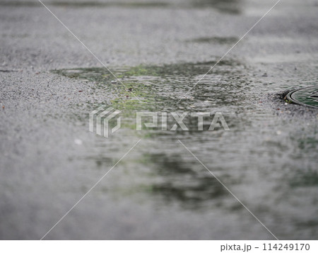 雨の日の濡れたアスファルト 114249170