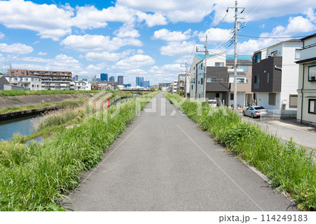 緑に挟まれた小道と青空に白い雲が並ぶ矢上川 緑に挟まれた小道と青空に白い雲が並ぶ矢上川 114249183