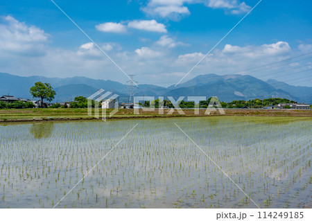 三重県いなべ市　北勢の山並みと田植えの終わった初夏の田んぼ 114249185
