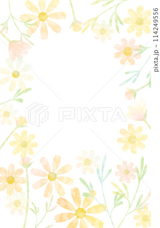 コスモスのフレーム水彩風 114249556