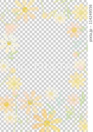 コスモスのフレーム水彩風 114249556