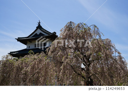 桜と弘前城一 桜と弘前城一 114249653
