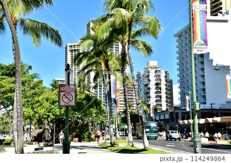 ハワイの休日 114249864