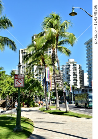 ハワイの休日 114249866