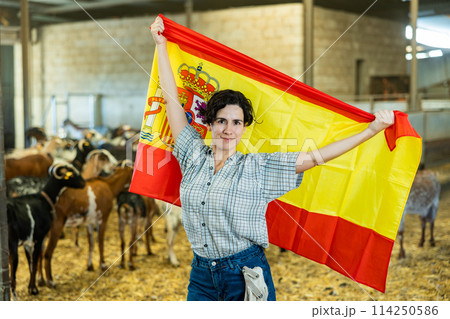 Cheerful young Latin woman tourist holding flag of Spain and smiling at camera at goat barn shed cattle farm Cheerful young Latin woman tourist holding flag of Spain and smiling at camera at goat barn shed cattle farm 114250586