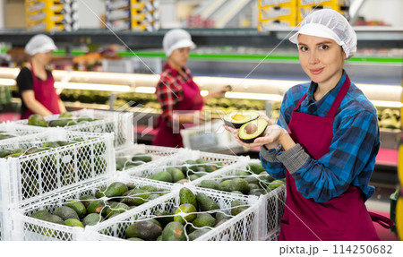 Positive woman with avocado slices in hands at food factory warehouse Positive woman with avocado slices in hands at food factory warehouse 114250682
