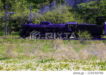 里山を走る蒸気機関車 114250706