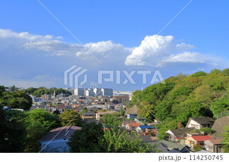神奈川県・横浜市・本牧山頂公園からの眺め 114250745