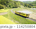 菜の花と大船渡線 114250804