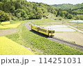 菜の花と大船渡線 114251031