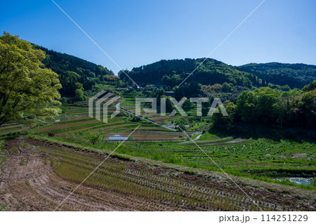 日本の岡山県美咲町の棚田の美しい風景 日本の岡山県美咲町の棚田の美しい風景 114251229
