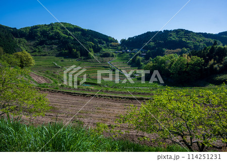 日本の岡山県美咲町の棚田の美しい風景 日本の岡山県美咲町の棚田の美しい風景 114251231