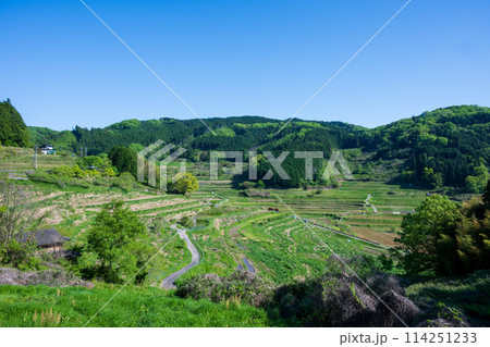 日本の岡山県美咲町の棚田の美しい風景 日本の岡山県美咲町の棚田の美しい風景 114251233