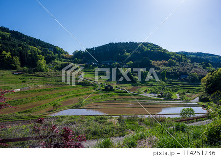 日本の岡山県美咲町の棚田の美しい風景 日本の岡山県美咲町の棚田の美しい風景 114251236