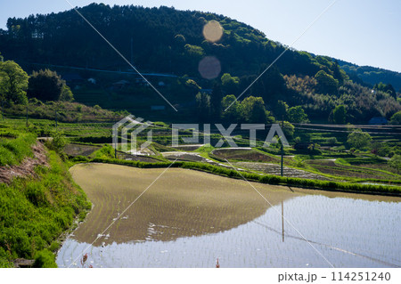 日本の岡山県美咲町の棚田の美しい風景 日本の岡山県美咲町の棚田の美しい風景 114251240