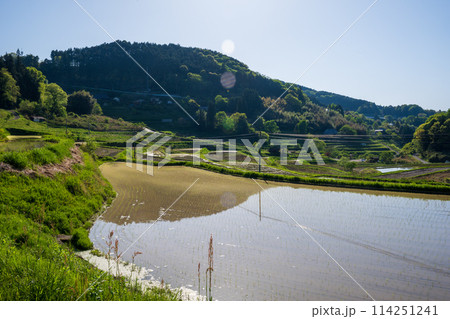 日本の岡山県美咲町の棚田の美しい風景 日本の岡山県美咲町の棚田の美しい風景 114251241