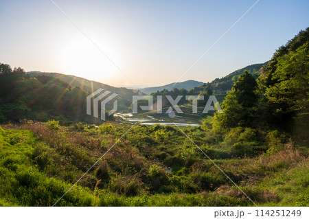 日本の岡山県美咲町の棚田の美しい風景 日本の岡山県美咲町の棚田の美しい風景 114251249