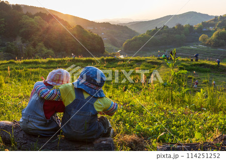 日本の岡山県美咲町の棚田の美しい風景 114251252