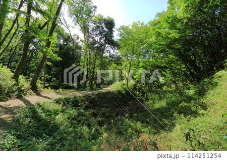 東京都・八王子市・滝山公園 114251254
