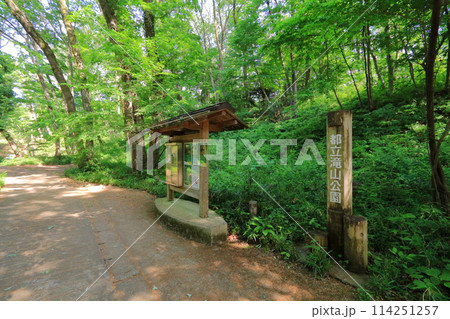東京都・八王子市・滝山公園 東京都・八王子市・滝山公園 114251257