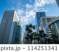 青空と並んだビルを見上げる風景 114251341