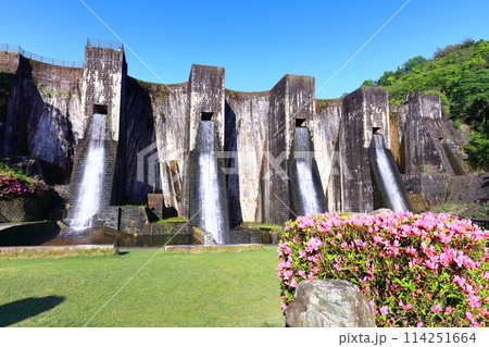 【香川県】ツツジ咲く春の豊稔池ダム(豊稔池堰堤)国最初の石積式多連マルチプルアーチダム 【香川県】ツツジ咲く春の豊稔池ダム(豊稔池堰堤)国最初の石積式多連マルチプルアーチダム 114251664