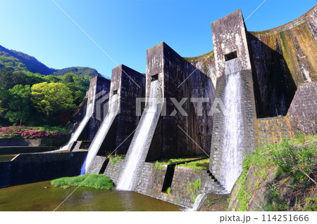 【香川県】ツツジ咲く春の豊稔池ダム（豊稔池堰堤）国最初の石積式多連マルチプルアーチダム 114251666