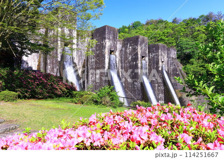 【香川県】ツツジ咲く春の豊稔池ダム（豊稔池堰堤）国最初の石積式多連マルチプルアーチダム 114251667