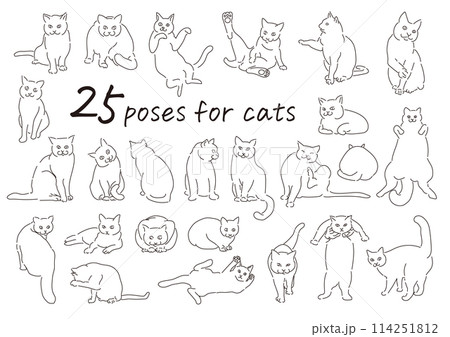 猫のシンプルな線画のイラストのイラスト素材 [114251812] - PIXTA