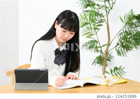 女子高生 勉強 受験 女子高生 勉強 受験 114251890