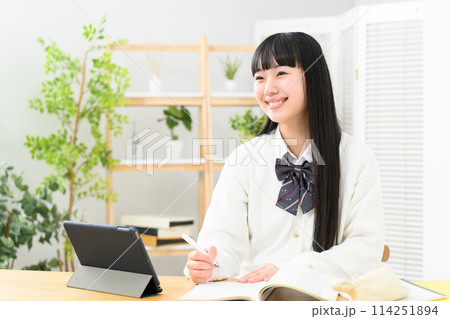 女子高生　勉強　受験 114251894