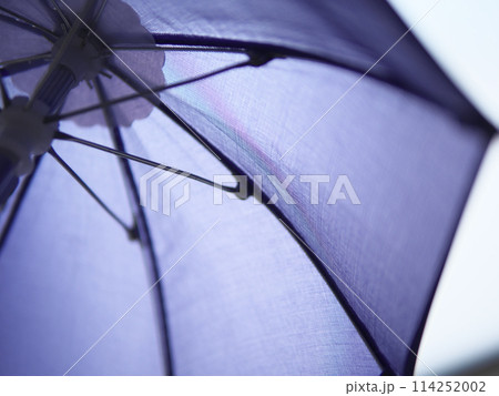 紫色傘(ミニ)の内側 114252002