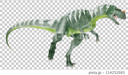 Ceratosaurus, horned lizard, apex predator of the Jurassic period 114252083