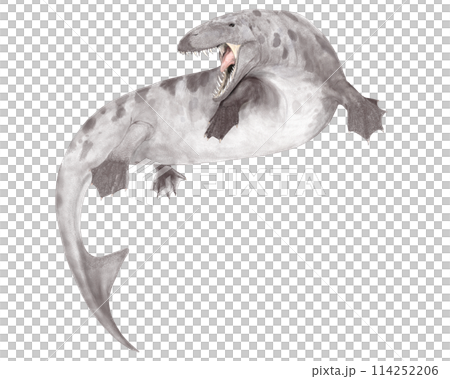 ダコサウルス 咬むトカゲ 海棲爬虫類としては小型だが、まるでティラノサウルス ダコサウルス 咬むトカゲ 海棲爬虫類としては小型だが、まるでティラノサウルス 114252206