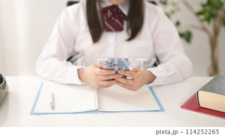 スマホで検索しながら勉強する女子高生　 114252265