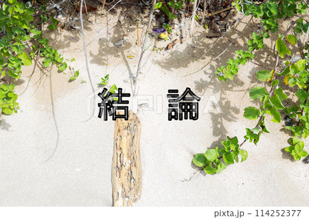 結論　砂浜 114252377