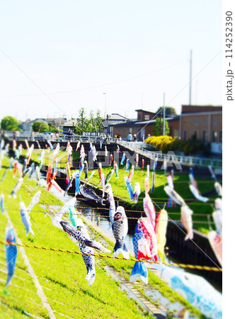 川沿いに揺れるたくさんの鯉のぼり 114252390