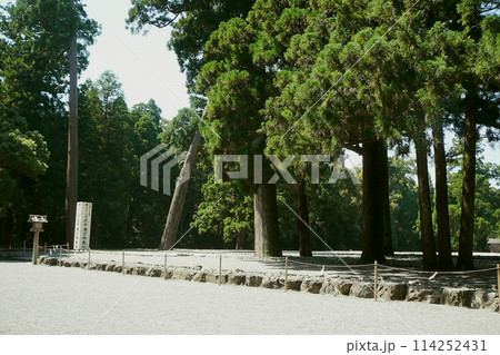 伊勢神宮【豊受大神宮・外宮】正宮の西の敷地/三重県・2007年 伊勢神宮【豊受大神宮・外宮】正宮の西の敷地/三重県・2007年 114252431