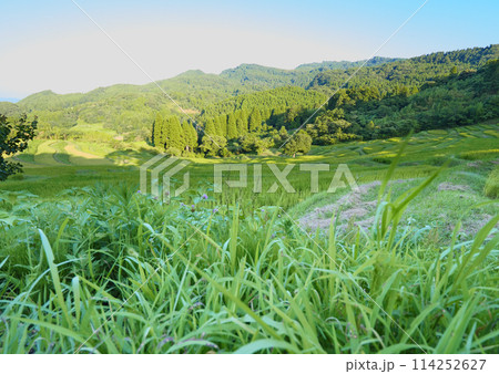 棚田(田園)と自然風景 114252627