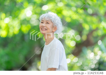 新緑　女性　グレーヘア　新緑 114253148